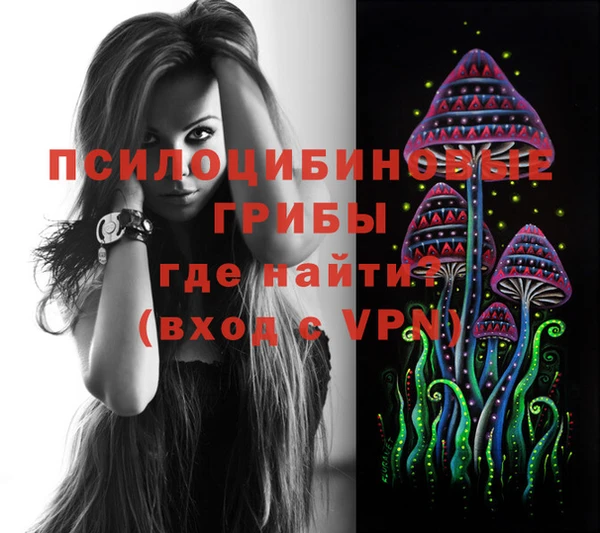mdpv Менделеевск