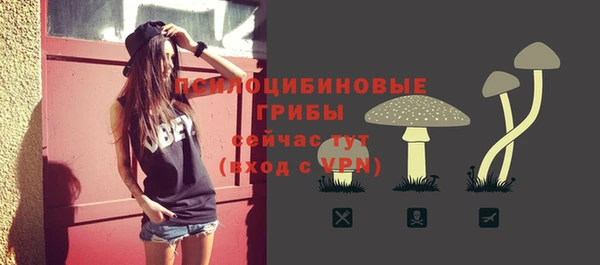 молекула духа Липки
