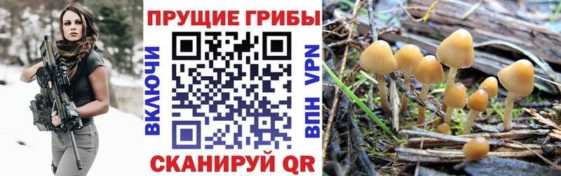 Галлюциногенные грибы мухоморы  OMG рабочий сайт  Берёзовка 